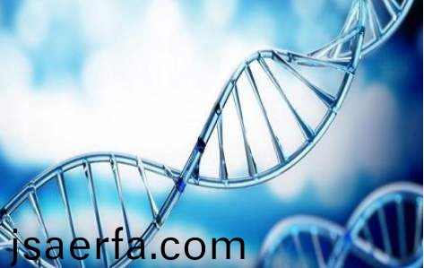 百傲2019再穫(huo)三證(zheng)，進入DNA免提時代